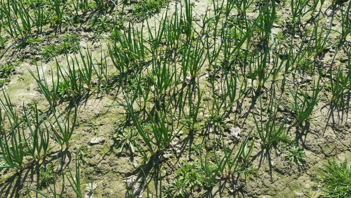 AJFCJaUgz_gplc7W_ih33q6Vv4BMoDj7FIlc7q0Z