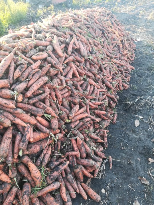 Może być zdjęciem przedstawiającym jedzenie