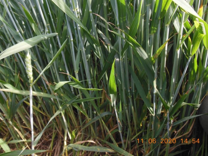 ACtC-3fpxxqsQC3Jog6iFfEcxv3g0q5_NCAR3BMM