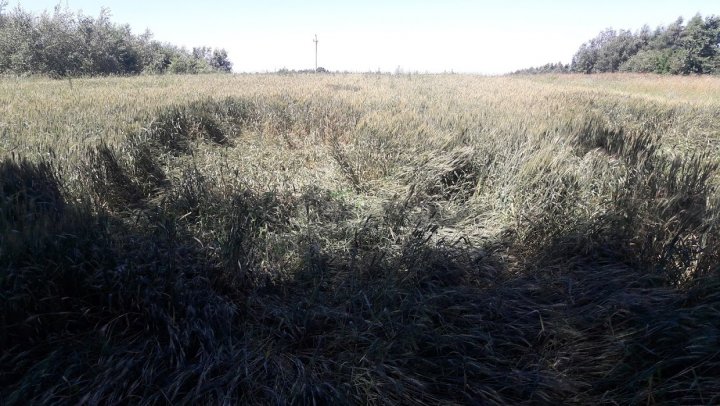 GKyBQgN1A69qj70QE4vJJyrBxNTMLVUwR0-82R4tJZcIp4H4Bf698TnAU5GR_dyHuCTdjVe_ZiLn-bobqSoEkMPAzuvctoqJLI6IFgTOySX7Tt4XtcpXULOgPN4XsLRPEqGLw3GeKqbspqE0e0psULTPL5lIVmBKsUzw86LXZ5hJ60-0byzbaDbFa4WmVkE8VMOOdS8h3jLAH5QQ0lS58-96awqMg5qhM0LfNUN5eHBPx0IOKkDUC1w4swxrj7JTrXzozsNlnlAVMzJDWQJCrrLwpxAyFej3Uz6QfBIzSvS1hM2xQsfiSHd6zhFEOC7b52S72KYdN6U_u2U2WFIAkY9Vc-deMr38sjmuhkH2tJDA8uBvuWmSqVcdcD8hrFmgKI-2Wk1XHiYnSm3FEtK4kq4KTKa8jQFZJMRJoz-zHoe6xpdRjlPRbOph6ZNQdMmC9L2yEjMRGnNqnTtsXLS4oDmfnlV4Golx_5ioAfyMbX9M66N72Y7lhWFt-mH8aTu8ph7DfGS-fNsfaIva642eojAXH78ljUdBtye-34XWFMF3DrTQbozx9p6snFQsOGLnc4iCM1qnHwrd2q7ObDkFFdX9pXyZ5_DFZaWGVroGDzxQbiUJ4HLftjras6Eievc4lgrG1xSFJFp-coEauhpjD6QcYIOaf8gIDHEWsuqj93mTnDO9hz3JzlQv0AS-pw=w1240-h698-no?authuser=0