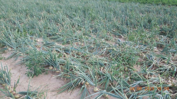 AJFCJaUQ_xTpKkGLHpw1hSlYBx5MqCzIaOH_Zhr8