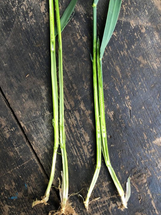 182682043_932396424228725_23619226024049