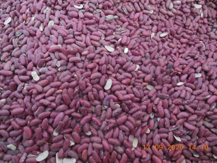 ADCreHcazoFHDjWnVRzW9ZYZRNFJdlCvsH6eYh4l