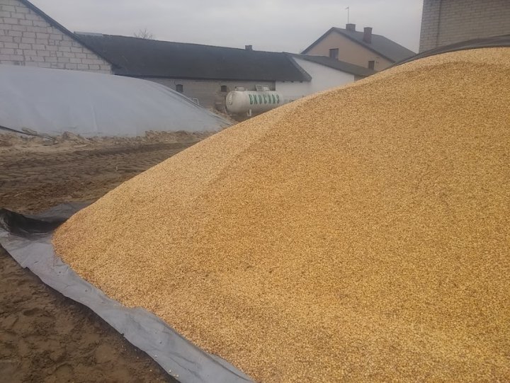 Dkoh-1j3UExIJCMutlQ70BtJqKpYyLXeiJj21Gbq