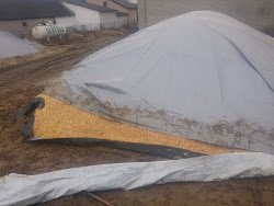 ck4lXYyQZTdYVyxxr-ex87iHsemoCYQ95to2mnKR