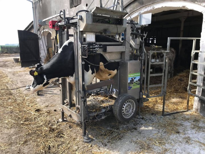 90524455_3683901825016936_898311234800058368_n.jpg?_nc_cat=105&_nc_sid=b96e70&_nc_ohc=gUcGnx0J3ygAX-p8ZyI&_nc_ht=scontent-waw1-1.xx&oh=8f321f13bea9c04286513a27dded3b5b&oe=5E98FD05