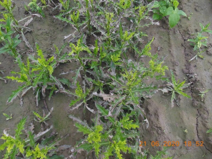 ACtC-3efECeyxvEub8PsrQJGoUBdH-p4iMyg4II8