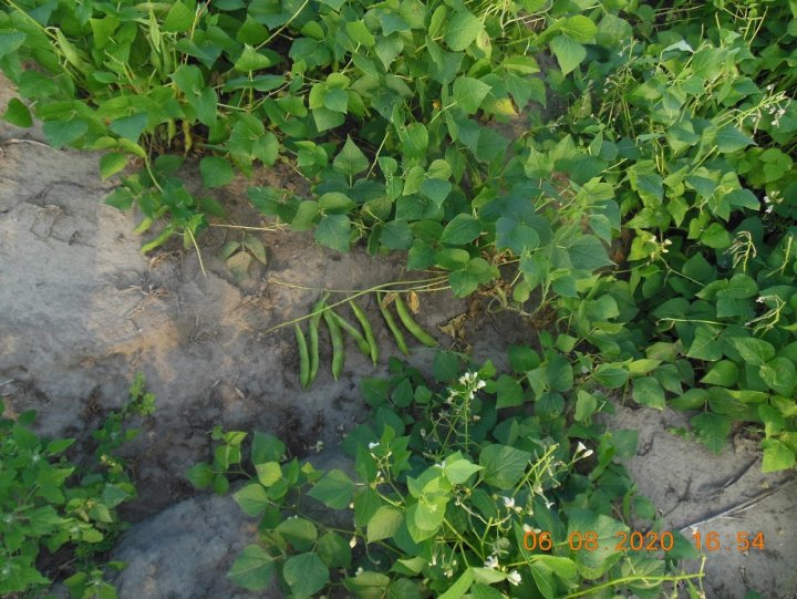 ACtC-3fSnGFW5Ei88jpX-Me063CHb8lh5FpSXRmM