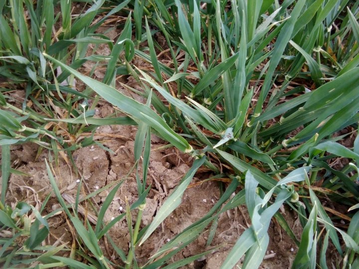 keCNQ_ekAE9tv5X9gENi343KmKC0JKhTgGYqd7taoi-tHOOH2iwoiXWQbaaqPDL6SPbWVXg60yNn043tlR0miWCw2lpDIX42yaF5q44RVh0d569Yrno24qDEvmhQa8caCGM6vjc0nkZEYitnZKV_8UpcG_RvQ0DgftnyOQiaD93YeaQ8BjWoZiVi0XSIVTHIzANoQaNK2qqFlChCSGlrzn3bExuXVVZZx1bAHhnhhpwko0AI4EEw9xPiJHYP2r3QU5GPxl83MzMzPja4E7RfKqb_gIoNwia8ubeGV9qhSJzVmMlUw51SdhMEbxkLlwnOkmTVhyq43cttBmkaYcHkLUNl1_plwSz6uNtYK3t2kSNLOKYvKpKaLQlvMZzgLOsVlz6GgWWfqvtg-j9dL2FOeEN9tajYyPRHDk4PGXKJdZHsJGeQRGzJE4NkHyRkujsSswC8E_xpuLDQscTkuNHAFPN8lUvVZp6YhbDz_Bv8orVxx6m50ro5WrG0vrc7jCEukPiRy7GFqjQSaZg6VX5zEQPJOb2o7Y58gvK6Ou-7kySe6_p1NnFG1REGiZlyplCA8_mr9WgGpAf4PfDdD1Vb_NQ1hLoj4rD5KXXK0GOk5JPDei0h2-zory1NtNj8Andy4A66IRHAEF15GOODH38IS9YRT14yXW6yX42h4qlV_xguJ4WM8c-4ktzzCI9E=w1343-h1008-no