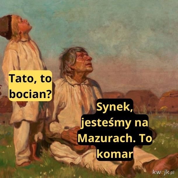 BRjzpdl1wo1XVTq3.jpg
