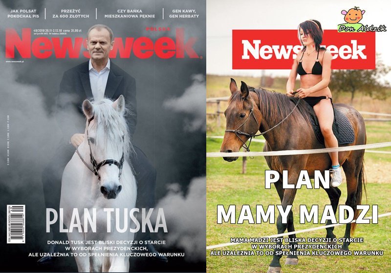 Znalezione obrazy dla zapytania tusk na biaÅym koniu