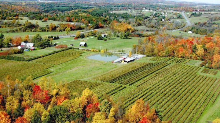 LPV_aerial_fall_foliage_-not_by_SG.0.0.j