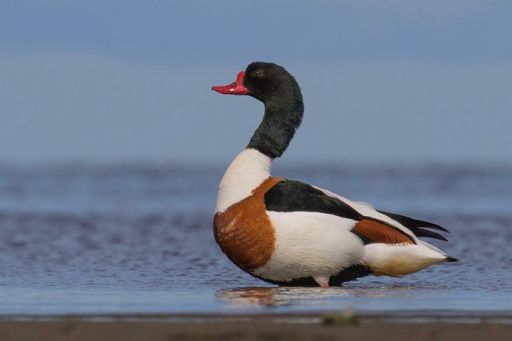 MQ9pGHhHU8UGTSpE1H99mHXaCNLr0w5c5jKdCz3X