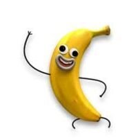 Prima_640x201-1-.jpg.851e9af8c268484fde3