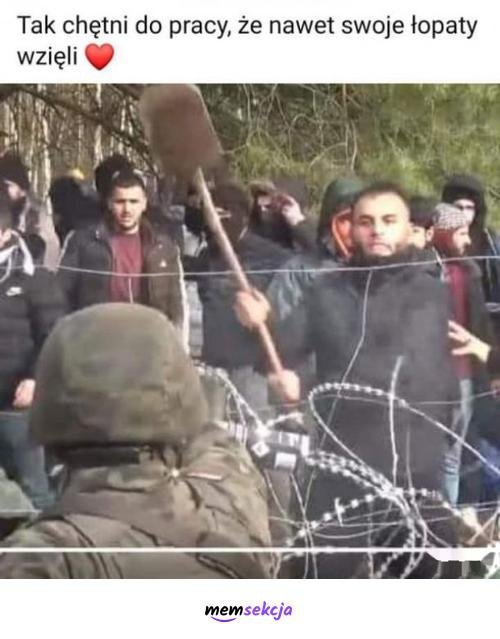 Tak chętni do pracy, że aż łopaty wzieli | MemSekcja
