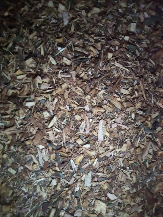 NTO2RaENPsU-cojuQoDIc0Mu3TLrVm3EmpQr-Vyt7Y-dsO2JGHZE67nDaPm9uXXzesuGqAm5Ag7cB7Bg3vjno9IBlTrcGbqRbRqY1ibsuYmIhNe-D75Bv8HFofWGgMujk-uRTH0yyXoLBevkAJfqZIFtQl-aXH0P3QQoiKVB48Pc05g4phwXMZ0Umy86Wt9T3W2bfWibz_yexgZvk5UhzXWoBUUbf8cRkErkfjOdG1xeE92JzeWDWo1DKgbET6NKqGzUXamequyYCk_V-McnPz_fTdF6x-16Lwcs8nmJb18ARJSws4zKmpnhMuI_ea33-thR6-dJKYpFlkSdFDxKEWs0f-dQO4ZF0CviTf4-i05CKDiVMQcG_F7DXsVmNCkdS97oAcU1eokpNyq3UAvSdhRngd1z-r3Slu6rJIZ21Bdu1xoRHdBe-HCGegxa-vibRY47EE33sYz3l2yYJvetXTdfON5QSBGruP4b1MhbWh9_2eacoIRIytTxPG04fKLktOrMCONJGwc2v8d6KE5iiR0Rp9PPLWGo5HzfKD9Pts5jga5TDAGeF8_drqSnRxBTFJ3DSObEKjZT4n32KSHIARvW2kOfgrbML4B_VXC5ENVSghXAijRRBBzcKFTStZqydijnYB6XHhQ74dO0_BJrM5mj9CfstqxR5SJAJtSAOphigELpLrWXeerIjXta9DrrFr8htH9MWwnXVVFG3Hc61cQqOOl_wqMlly4VlFfbUzA8-4mI26epti4wbYPdligR_NORXbBi6lO2ah2kdalFs-86-MDtYFbSNwV917C4Uk0iJ1jFXHyaIUr22-jCUAIlTXAyGXGdvNfX_rzSbq4fj9qUsG5Ky5ivi5j4lJw1x1LDr8s1fxafcHQ9WAq_dfzKpM1LYgAry5Wgl6G-4SYItyIlZl-Pb_uQohC4lTOmrps9U29q=w703-h937-no?authuser=0