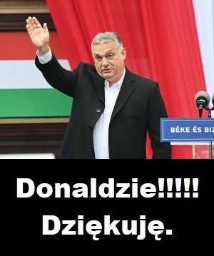 FPcoavAXoAcYwIZ?format=jpg&name=360x360