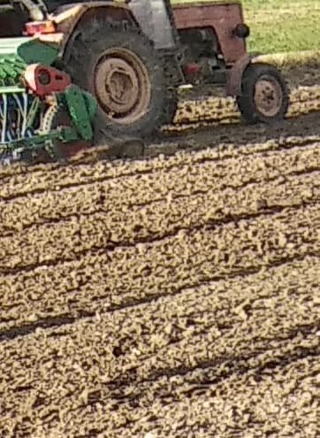 119643146_357204018654156_16798520646222