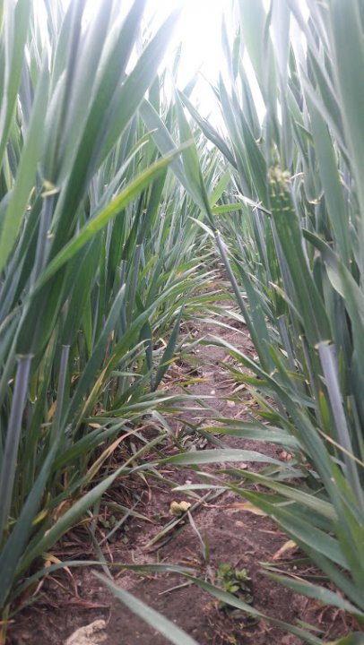 3x_KOUcFe_hGbn1mUMh3rZKeXNFG9oNtQQO4QtwKBVrenEzjM-5D30LIi06wWytC-C_QV07Y0FIc4arWUxmPpxI60CpIj5A3GnJ3d7QTIC_d48WPJUNFYvfSvYlrVMbXx6pir7h1nB-d9AMaLt4z0cy9uZl4WeY6vBysH20S30pPahX1uBx-oKjW3mKiiOGciD8-6oTg2kjzgC2XrPvGyXkRE6nyC77jVdXg9yfwQfbt1_vrF0Z8oxioqyQqY80kBo3xA2o3OjXWAn1RWrnh6QpSoeJb8tX6hbl29_ddMhTLy9TP-V6AxgcWnQC9w4HHL1sLCam0vt5a-TQw4cMT99qSnkP5DAon7Szh6rGGKg1eiCQ1oVDZc2xD2N18Cfh2m_rhD1FajZZqasOce1kyZ0eMapx-GuPHSbacUPa5WUvAeQJV2S5OLEzZ1jMYEV5k3OZ8B_fo9EnxIhkh2iztE0y8l5NwvE5XauX-ihvfVXpeldM33RFactlD_W1PEpadXaIjqwL2-Dsk70LbH1HKFrMVrXwdn3x6aPY-5doAkRPtXrO8oZLDbHDh6J1kyH0R9HfDQwcWBNHxqLx1uZEkVcqn1fnbCro9_6wjtA0AVHWCnu0ieWbZN5kas9rsy0NruIiddCs_-zaU_kh2MPZYSrNokf9vvmpkK6uL8W1EEJ8dRM5PtC4QIEz87mLu4A=w426-h757-no?authuser=0