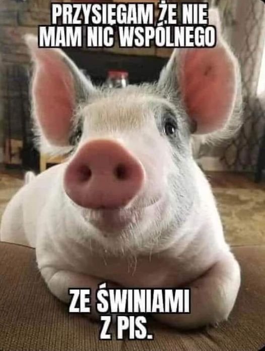 289949800_1460404811073486_7314273672103