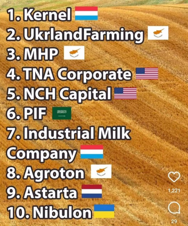 Może być zdjęciem przedstawiającym ‎tekst „‎1. Kernel 2. UkrlandFarming 3. MHP 4. TNA Corporate 5. NCH Capital 6. PIF لللÛ 7. Industrial Milk Company 8. Agroton 9. Astarta 10.Nibulon 1,221 29‎”‎