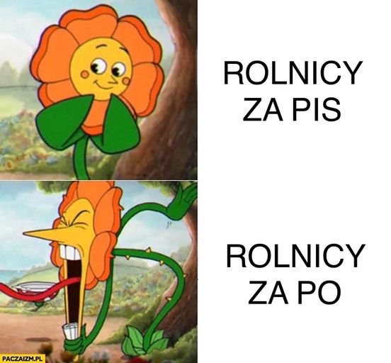 Może być zdjęciem przedstawiającym tekst „ROLNICY ZA PIS ROLNICY ZA PO PACZAIZM.PL”