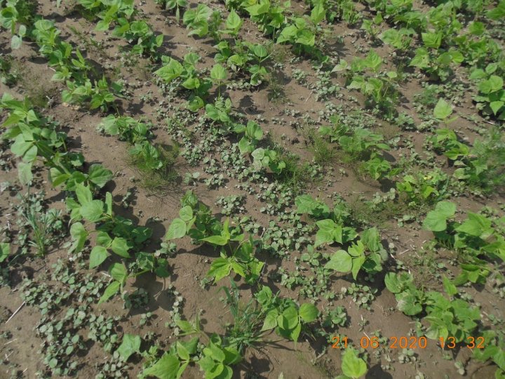 AJFCJaWUIdvgYo459ziguFwdxZykCUDKvm4_VvxM