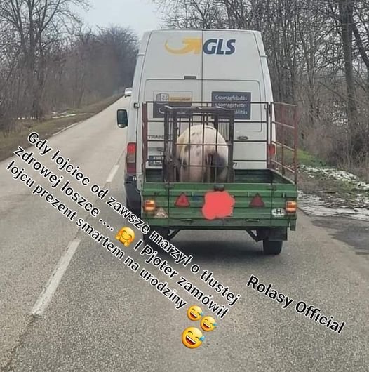 272945074_4849922928416764_4353432200496