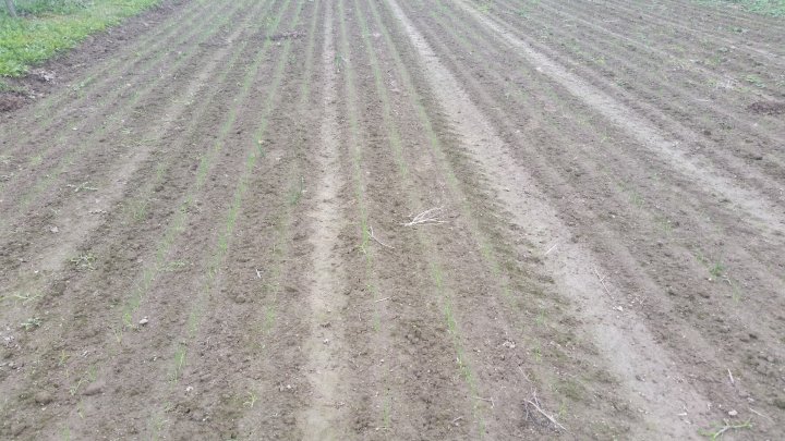 AL9nZEWAoedRA20RnsXsxUSwl4r6QE2U9j7YOWV2