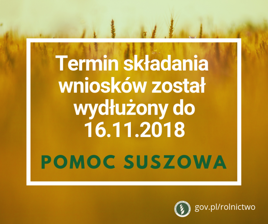 44783489_2497156763629609_56666754139176