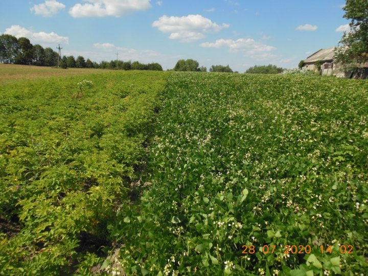 AM-JKLWAOFnjWUvgmFV6RUy6tRb5TYOTCmdSiHvk