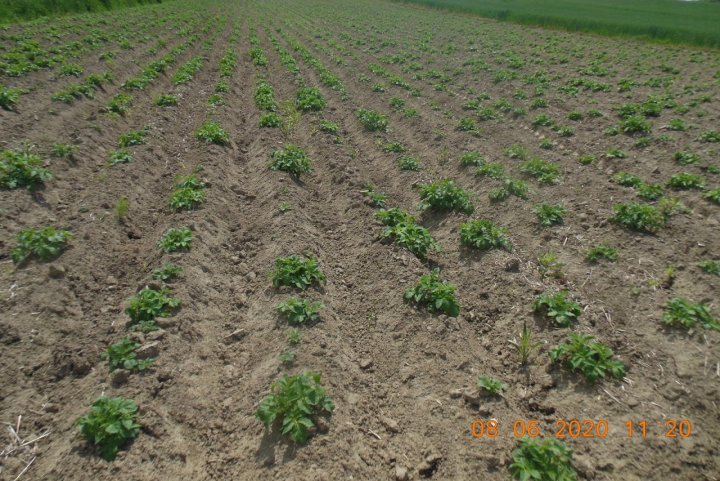 ACtC-3e99eMRiMc-PdgbY78rPPl-IACmv3EXbF1s