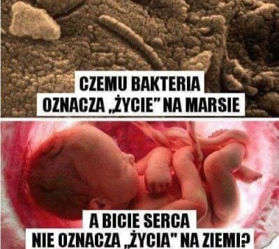 151373905_1796891003812930_8953821647938