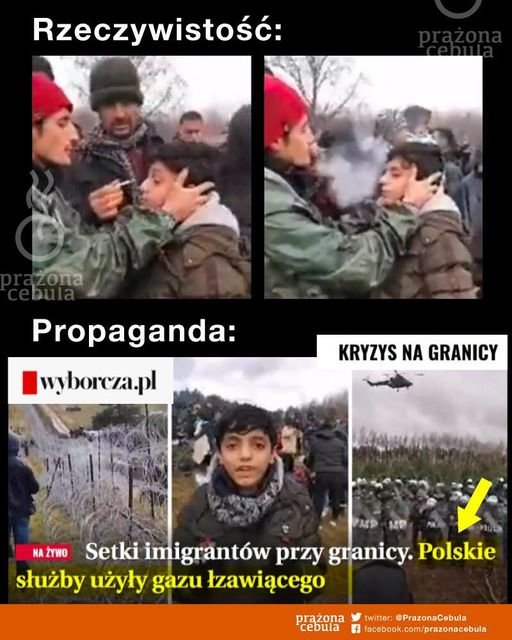 253527530_4556951054327292_1874045303634