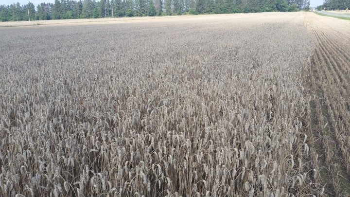 AL9nZEU-uSVW77q8cd7XnVMsFwc6iVTgk20sQwSr