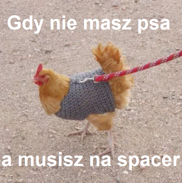 92290844_3029127687147444_11131617210374