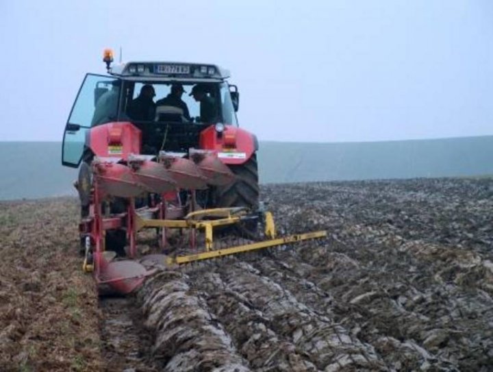 Pflüge: Schollencracker gebraucht kaufen - Landwirt.com