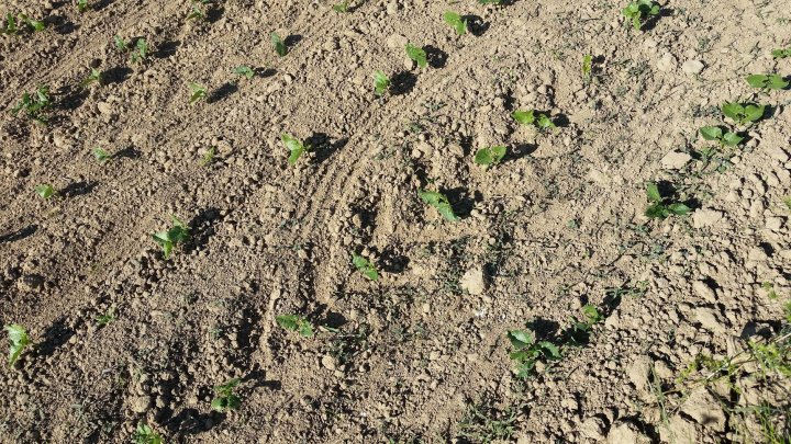 AP1GczOowk_ffJGbozwSY0T9THO7R9aYibIEgNsA