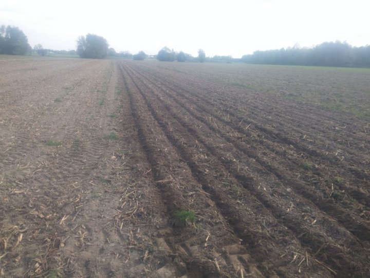 V_FUh6wxWbm0zNqt3IDjxE7dO9JNh5scj4AxCfl1