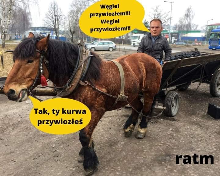 Może być zdjęciem przedstawiającym 2 osoby, koń, na świeżym powietrzu i tekst „Węgiel przywiozłem!!! Wegiel przywiozłem!!! Tak, ty kurwa przywiozłeś ratm”