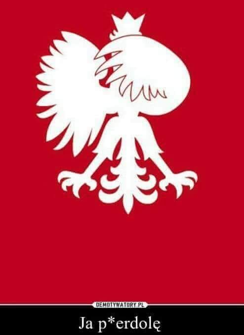 Zdjęcie użytkownika Mariusz Dopierala.