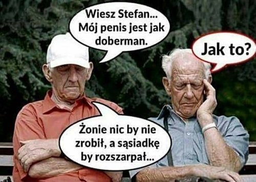 Wiesz Stefan... - Śmeszne obrazki i zdjecia na jaja - jajamioasfalt.pl