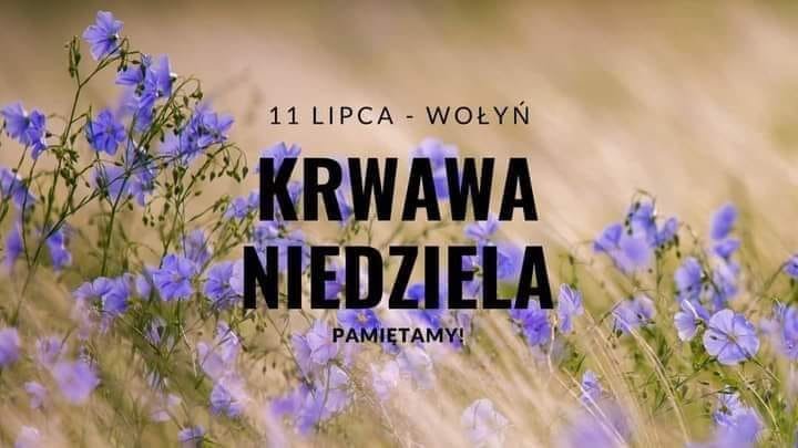 292301252_1185419188981428_1867559246699