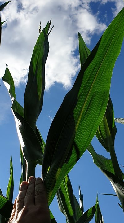 109648541_307449790408956_87528085293768