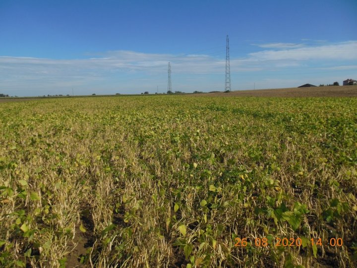 ACtC-3dHGHSsd744cXnmMBGhtH69p7OkpSfUSZtC