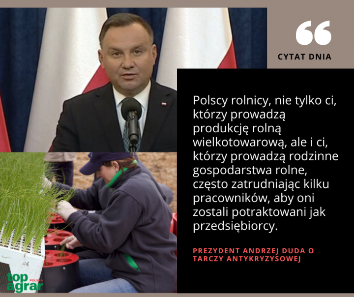 90737245_3372244332792749_39487402885282