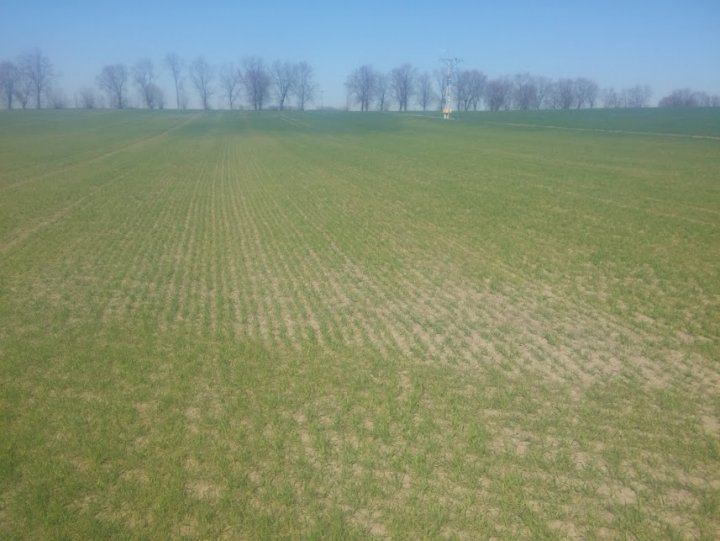 LaMCSkdImQUFdBREUCfGjQys7oBQc06XYH8SazwF