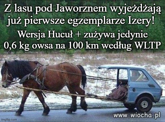 Hucuł + - Obrazkowo.pl - najlepsze memy w sieci.