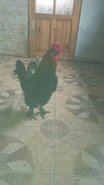 Brak dostÄpnego opisu zdjÄcia.