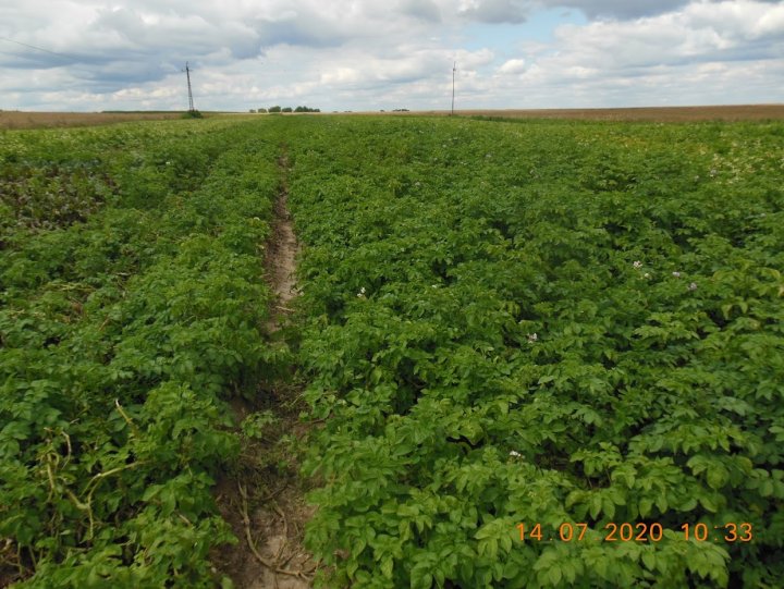 ACtC-3dGgmjtGxWxzGhBb9yOCuX7yhpQDQMuDWMb